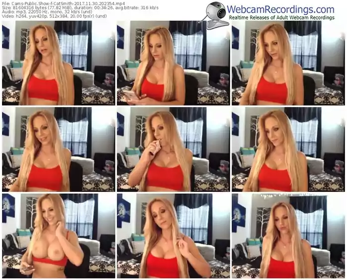 cams-catsmith-webcam-show-11_30_2017-20_23_54