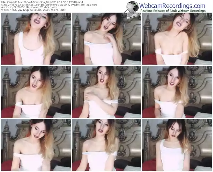 cams-dominica_dee-webcam-show-11_30_2017-14_23_48