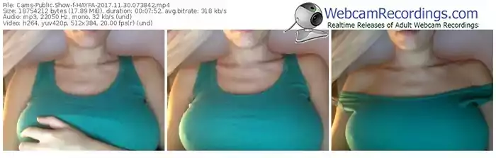 cams-hayfa-webcam-show-11_30_2017-07_38_42