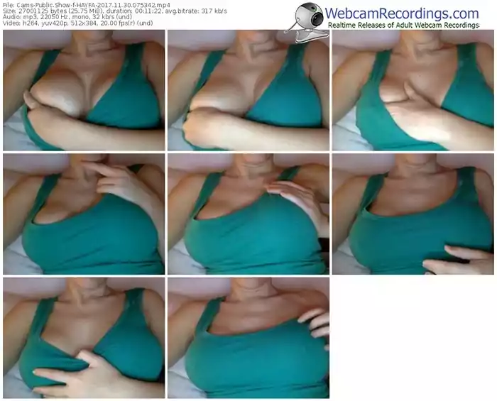 cams-hayfa-webcam-show-11_30_2017-07_53_42