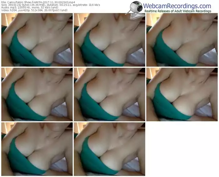 cams-hayfa-webcam-show-11_30_2017-09_23_43