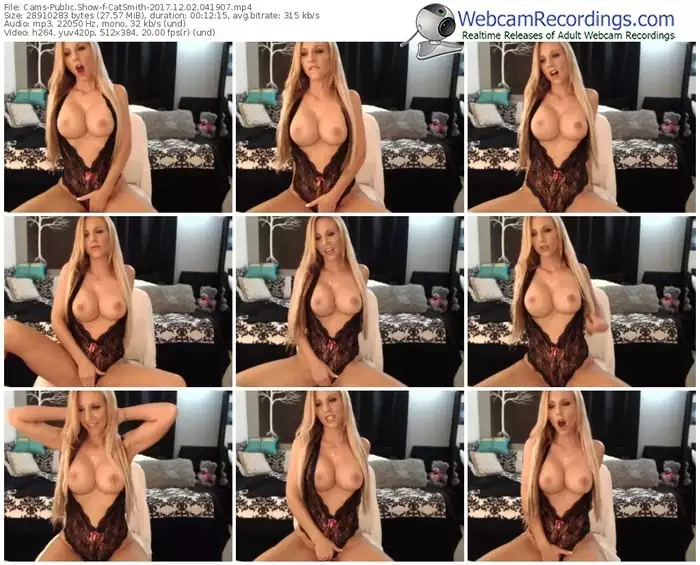 cams-catsmith-webcam-show-12_02_2017-04_19_07