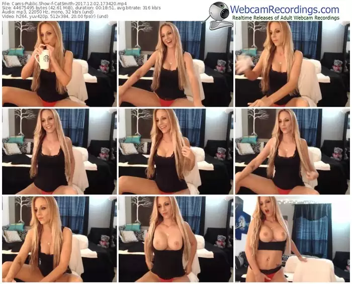 cams-catsmith-webcam-show-12_02_2017-17_34_20