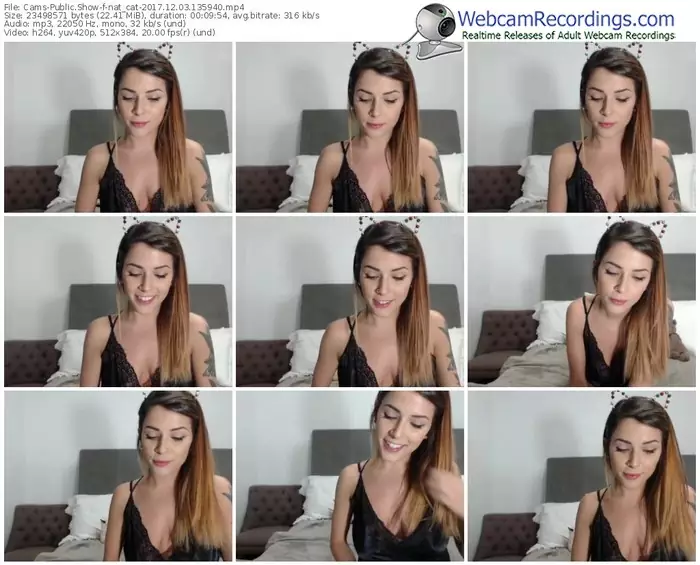 cams-nat_cat-webcam-show-12_03_2017-13_59_40