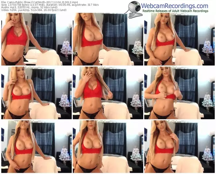 cams-catsmith-webcam-show-12_04_2017-21_30_12