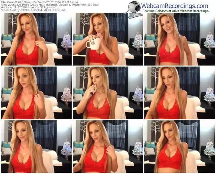 cams-catsmith-webcam-show-12_04_2017-21_45_12