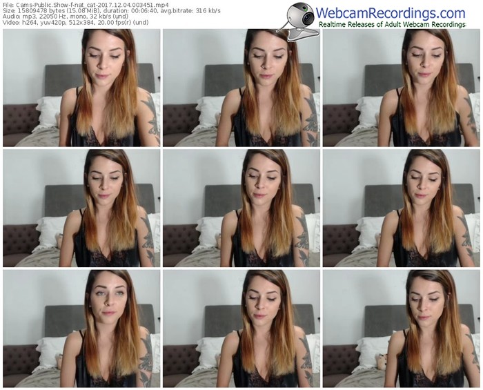 cams-nat_cat-webcam-show-12_04_2017-00_34_51