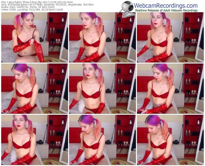 cams-ana_sky-webcam-show-12_06_2017-16_11_21