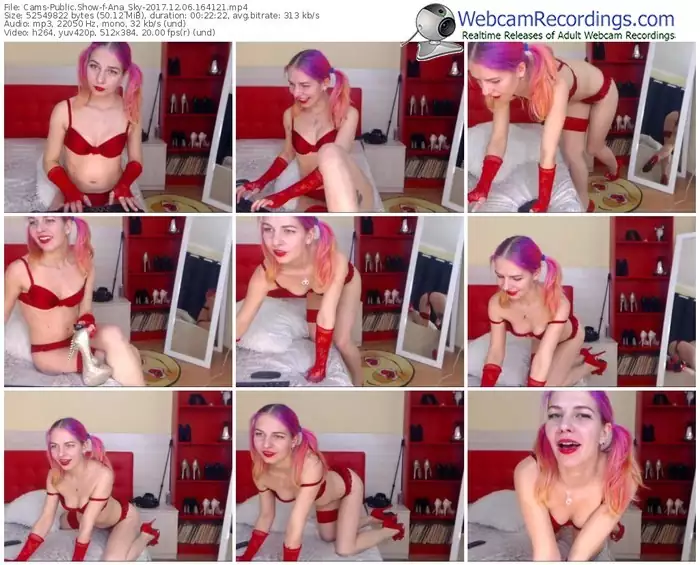 cams-ana_sky-webcam-show-12_06_2017-16_41_21