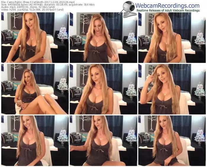 cams-catsmith-webcam-show-12_06_2017-20_21_26