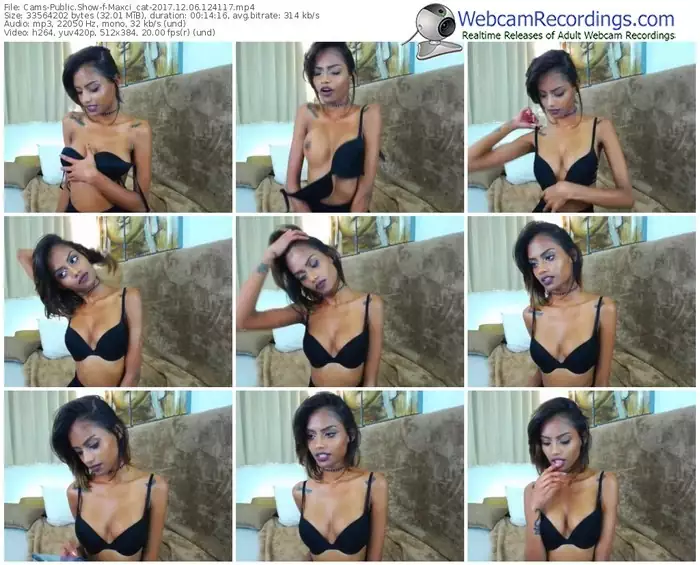 cams-maxci_cat-webcam-show-12_06_2017-12_41_17