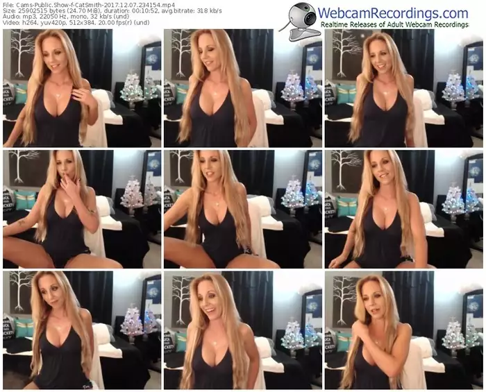 cams-catsmith-webcam-show-12_07_2017-23_41_54
