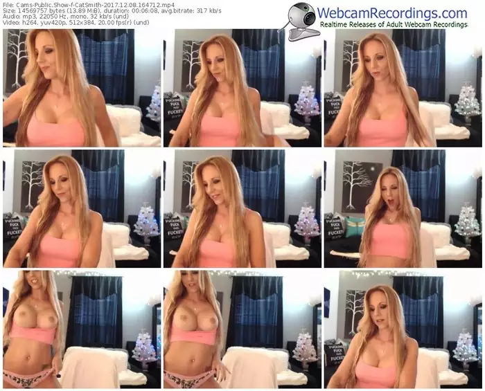 cams-catsmith-webcam-show-12_08_2017-16_47_12