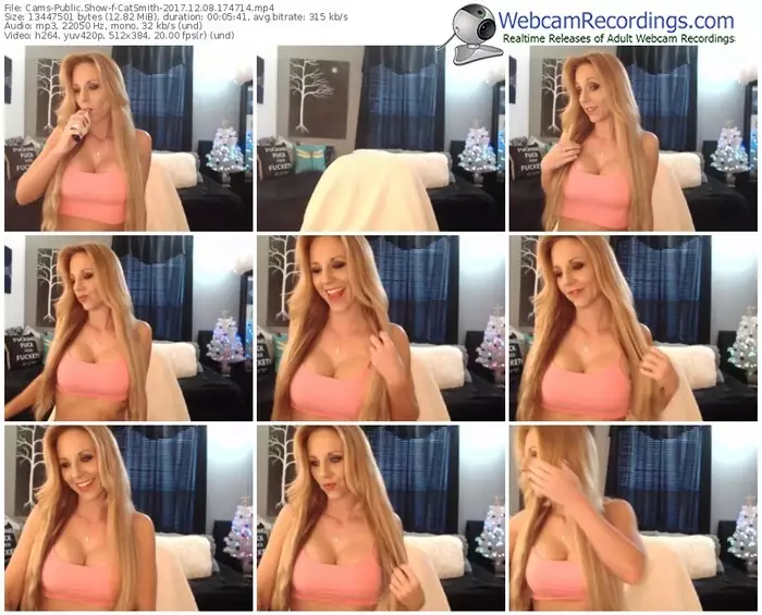 cams-catsmith-webcam-show-12_08_2017-17_47_14