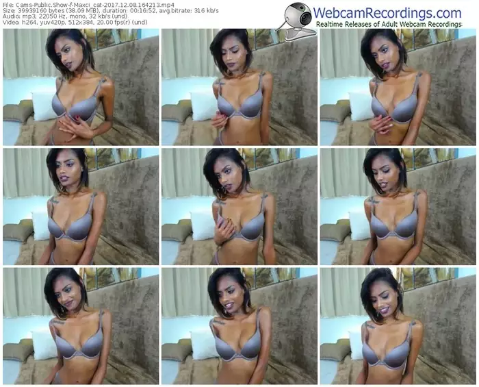 cams-maxci_cat-webcam-show-12_08_2017-16_42_13