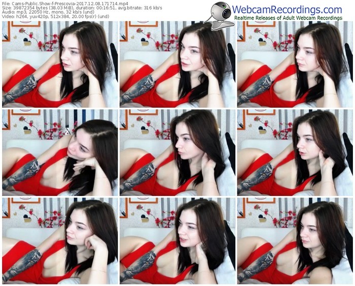 cams-prescovia-webcam-show-12_08_2017-17_17_14