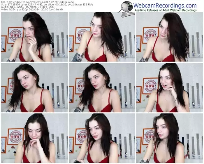 cams-prescovia-webcam-show-12_08_2017-17_47_14