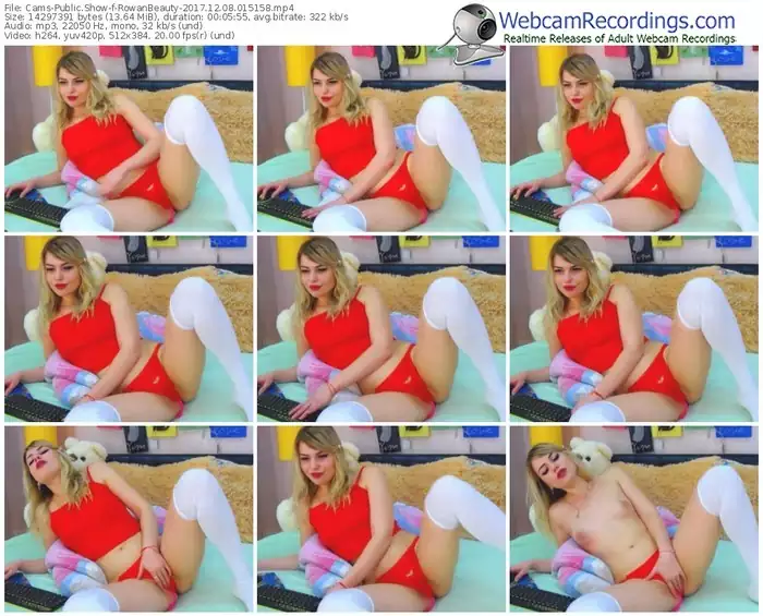 cams-rowanbeauty-webcam-show-12_08_2017-01_51_58