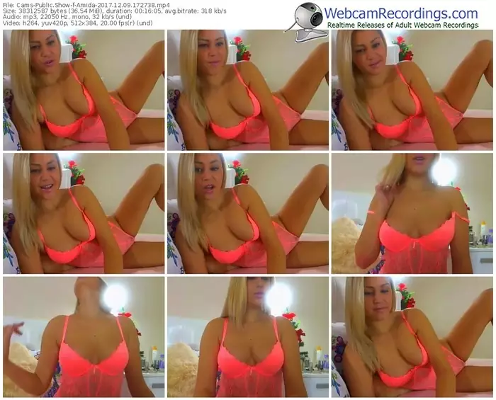 cams-amida-webcam-show-12_09_2017-17_27_38