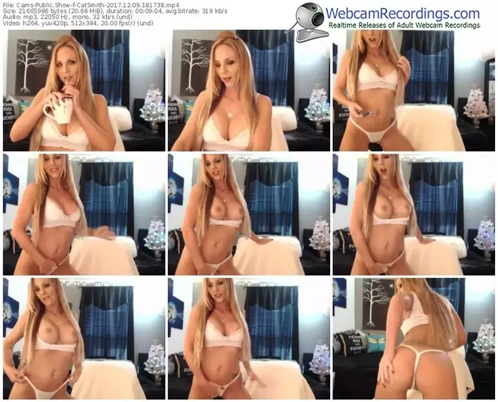 cams-catsmith-webcam-show-12_09_2017-18_17_38
