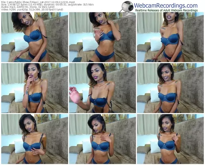 cams-maxci_cat-webcam-show-12_09_2017-11_22_31