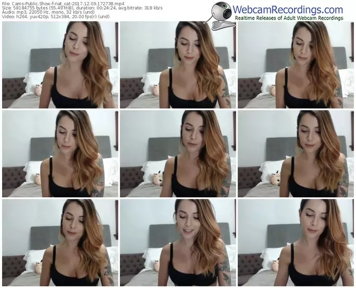 cams-nat_cat-webcam-show-12_09_2017-17_27_38