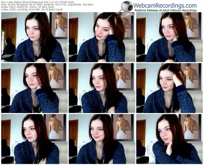cams-prescovia-webcam-show-12_10_2017-17_03_02