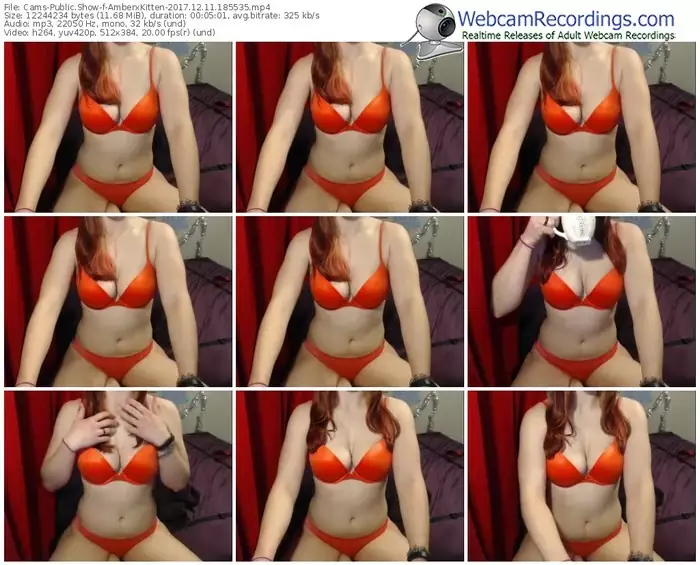 cams-amberxkitten-webcam-show-12_11_2017-18_55_35