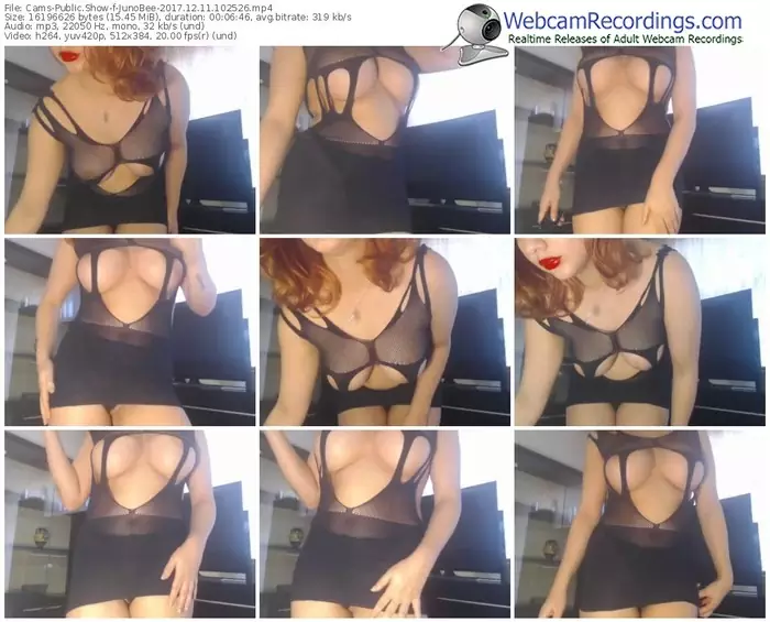 cams-junobee-webcam-show-12_11_2017-10_25_26