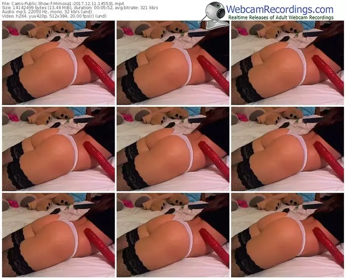 cams-mimosa1-webcam-show-12_11_2017-14_55_31