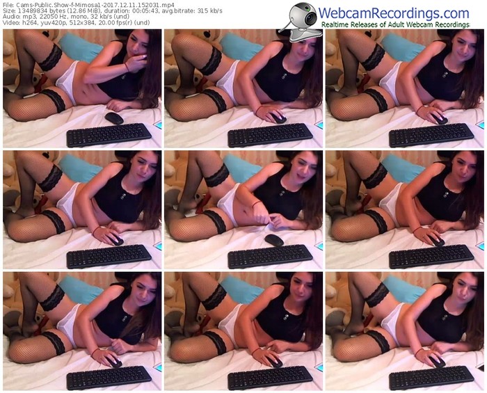 cams-mimosa1-webcam-show-12_11_2017-15_20_31