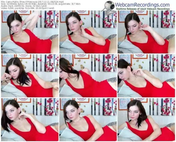 cams-prescovia-webcam-show-12_11_2017-08_25_24