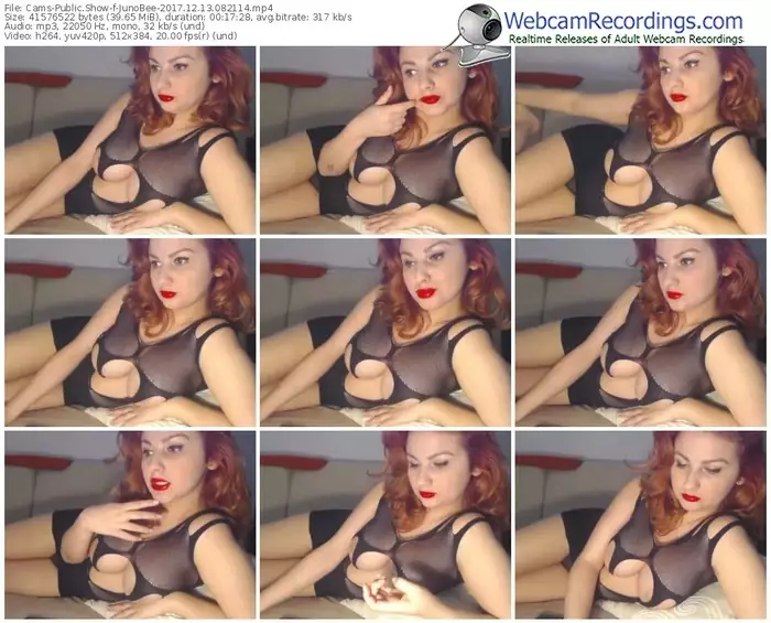 cams-junobee-webcam-show-12_13_2017-08_21_14