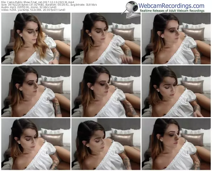 cams-nat_cat-webcam-show-12_13_2017-23_21_31