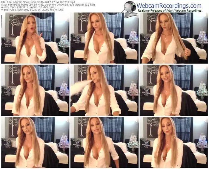 cams-catsmith-webcam-show-12_14_2017-20_52_53