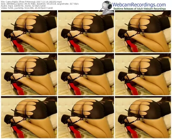 cams-mimosa1-webcam-show-12_14_2017-18_22_53