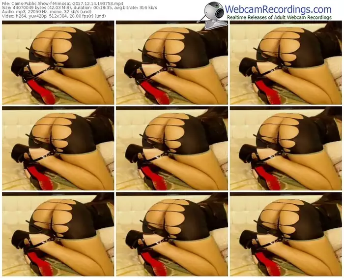 cams-mimosa1-webcam-show-12_14_2017-19_37_53