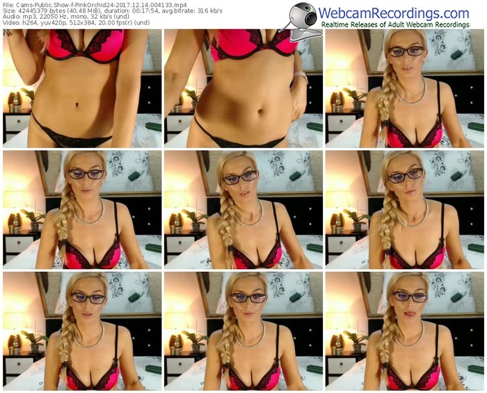 cams-pinkorchid24-webcam-show-12_14_2017-00_41_33
