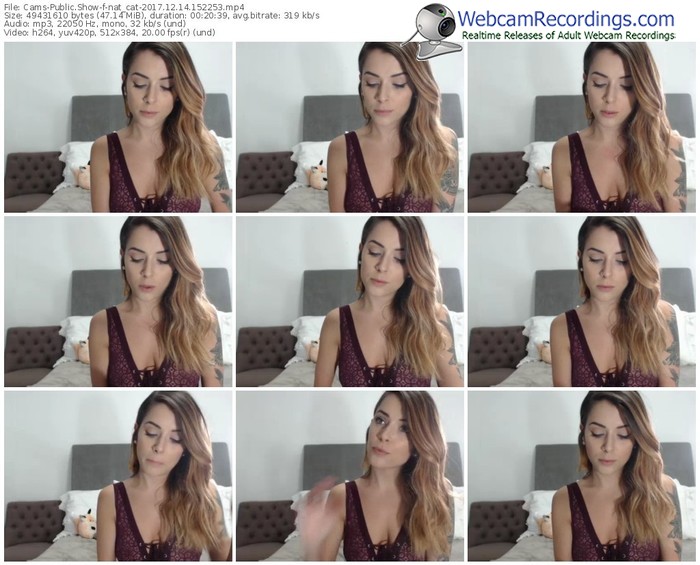cams-nat_cat-webcam-show-12_14_2017-15_22_53