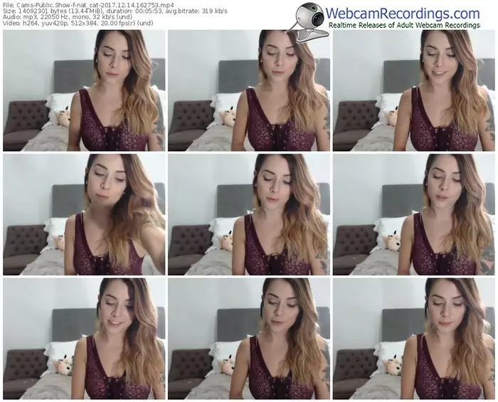 cams-nat_cat-webcam-show-12_14_2017-16_27_53