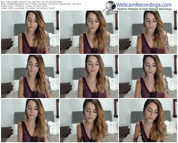 cams-nat_cat-webcam-show-12_14_2017-22_32_53