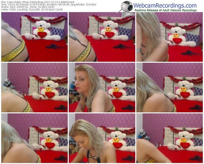 cams-rileyshae-webcam-show-12_15_2017-14_38_09