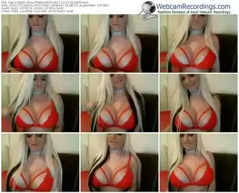 cams-takeitoff18-webcam-show-12_16_2017-01_36_08