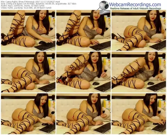 cams-mimosa1-webcam-show-12_17_2017-01_36_27