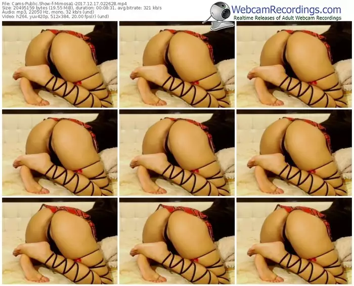 cams-mimosa1-webcam-show-12_17_2017-02_26_28