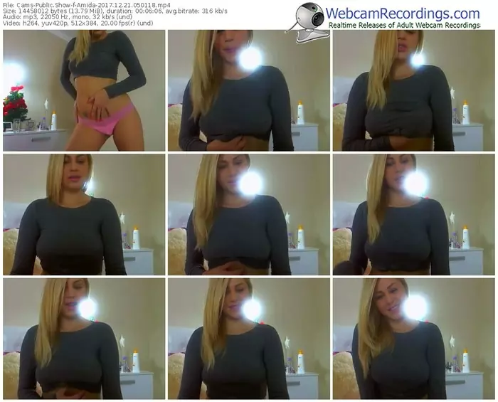 cams-amida-webcam-show-12_21_2017-05_01_18