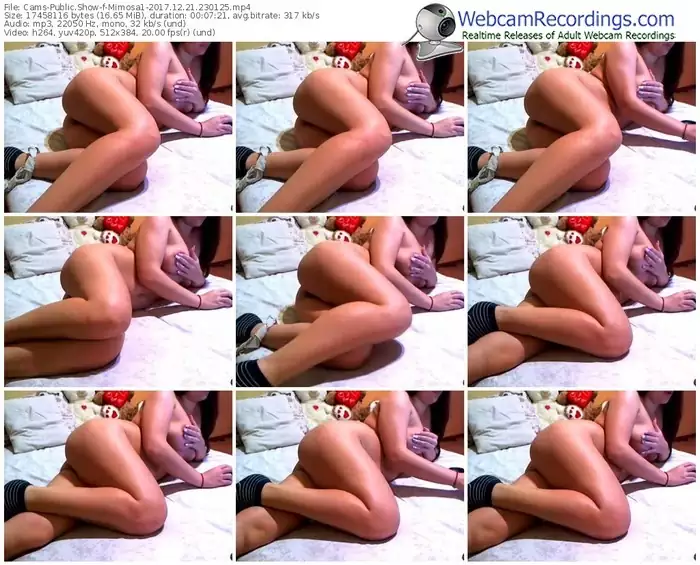 cams-mimosa1-webcam-show-12_21_2017-23_01_25