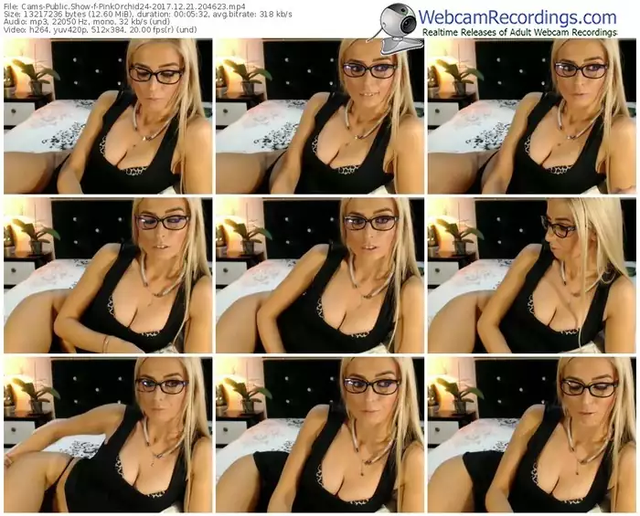 cams-pinkorchid24-webcam-show-12_21_2017-20_46_23