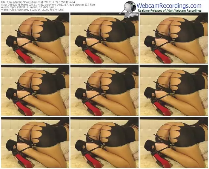 cams-mimosa1-webcam-show-12_22_2017-15_56_42