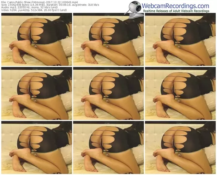 cams-mimosa1-webcam-show-12_22_2017-16_36_43